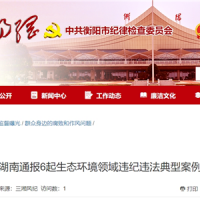 超時(shí)、超量、越界采砂！湖南通報6起生態(tài)環(huán)境領(lǐng)域違紀違法典型案例 2起與砂石有關(guān)！